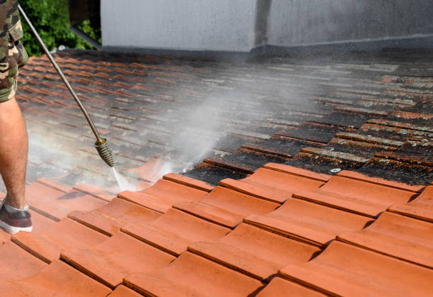Best Local Pressure Washing Services  in Rockledge, PA