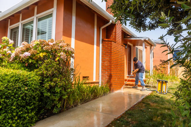 Best Roof Pressure Washing  in Rockledge, PA