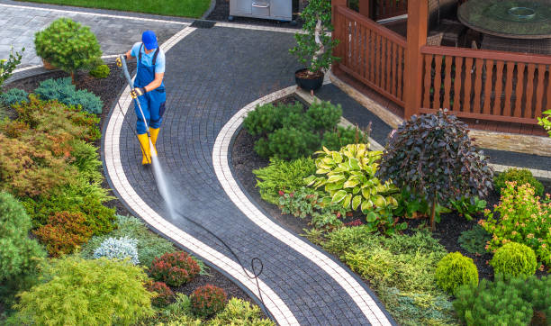 Best Roof Pressure Washing  in Rockledge, PA